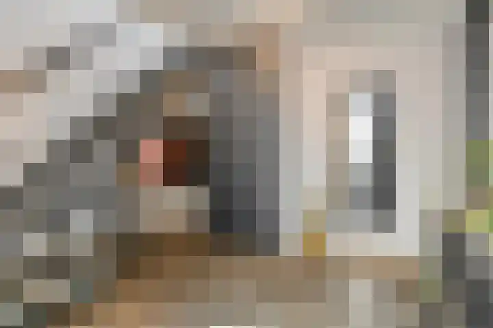 Hollesteeg 6 Boxmeer thumbnail 20