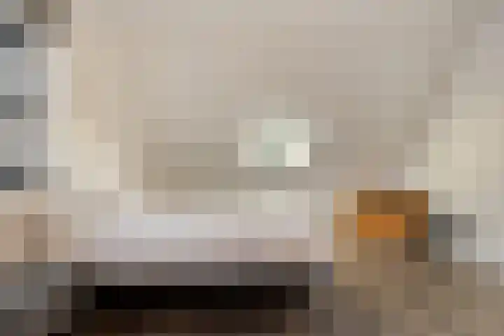 Hollesteeg 6 Boxmeer thumbnail 26