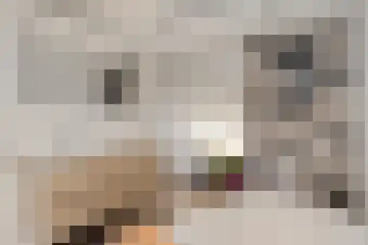 Hollesteeg 6 Boxmeer thumbnail 27