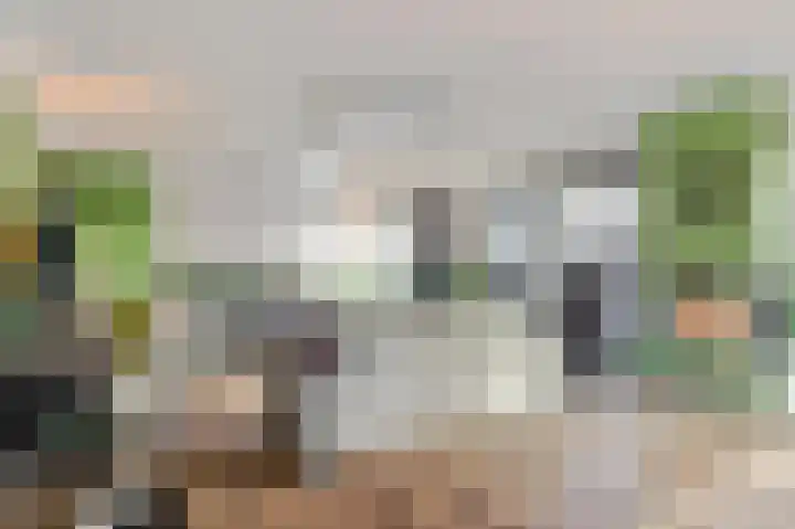 Hollesteeg 6 Boxmeer thumbnail 4