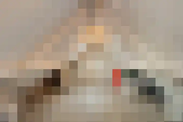 Hollesteeg 6 Boxmeer thumbnail 43