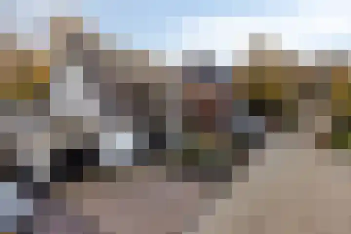 Hollesteeg 6 Boxmeer thumbnail 49