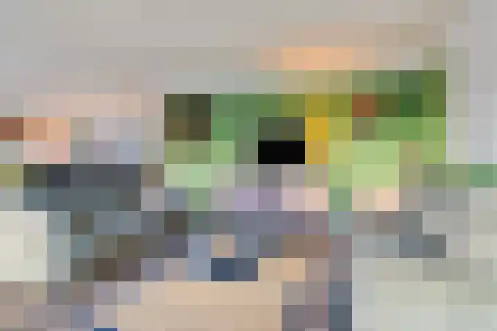 Hollesteeg 6 Boxmeer thumbnail 6