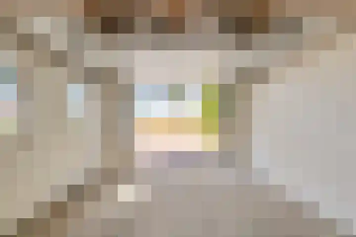 Hollestraat 21 Someren thumbnail 33