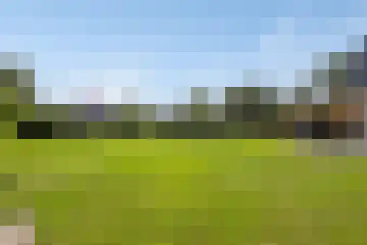 Hollestraat 21 Someren thumbnail 35