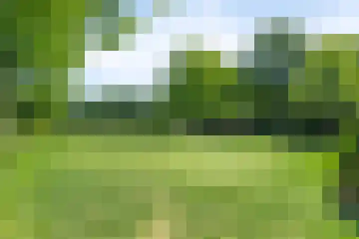 Hollestraat 30 Someren thumbnail 38