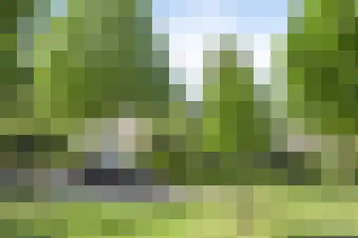 Hollestraat 30 Someren thumbnail 7