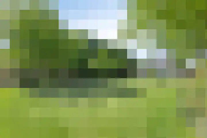 Hollestraat 30 Someren thumbnail 8