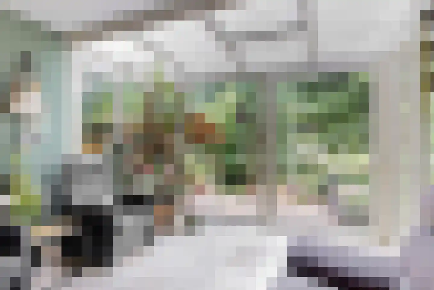 Hollestraat 8 Swalmen thumbnail 14