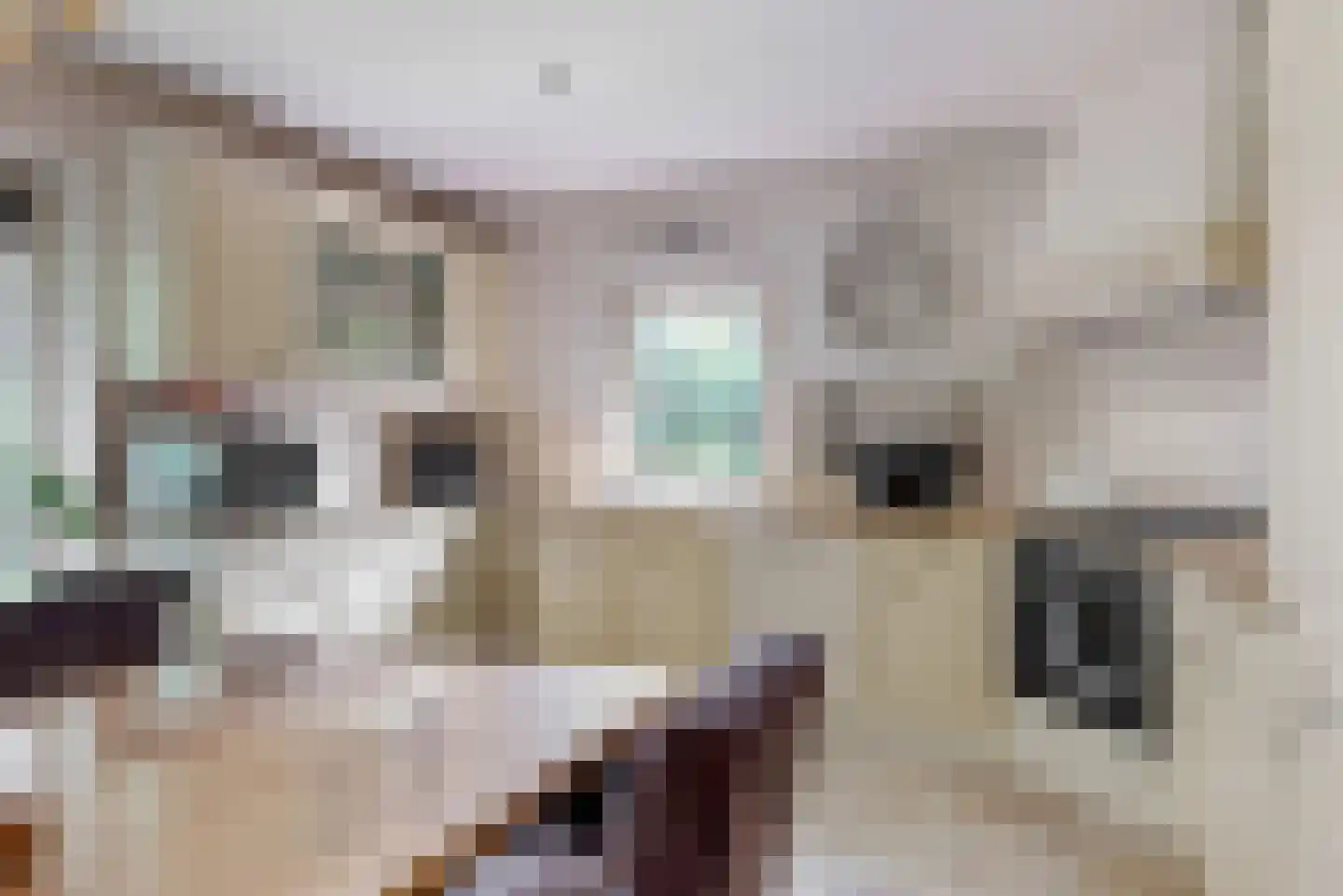 Hollestraat 8 Swalmen thumbnail 17