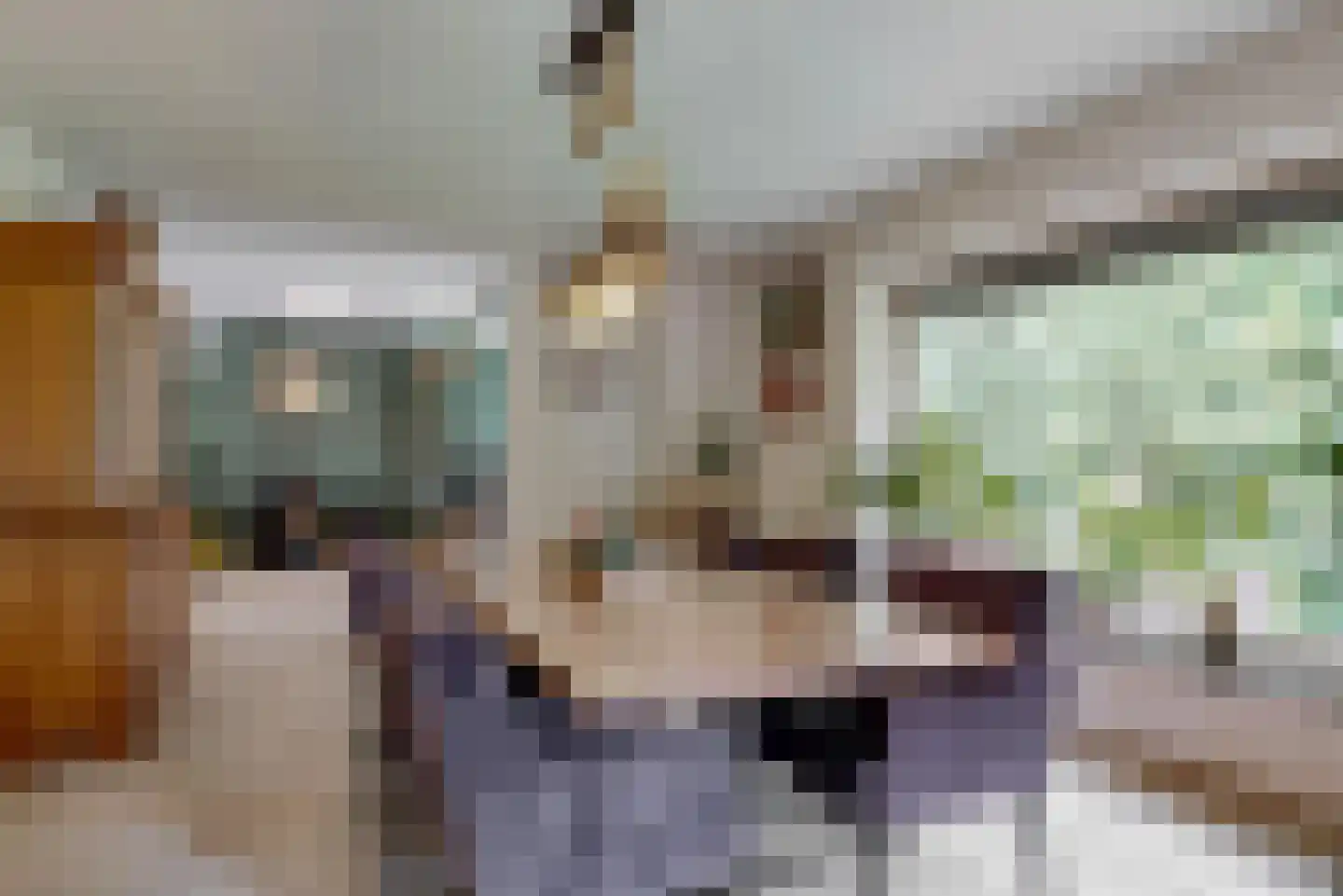 Hollestraat 8 Swalmen thumbnail 19
