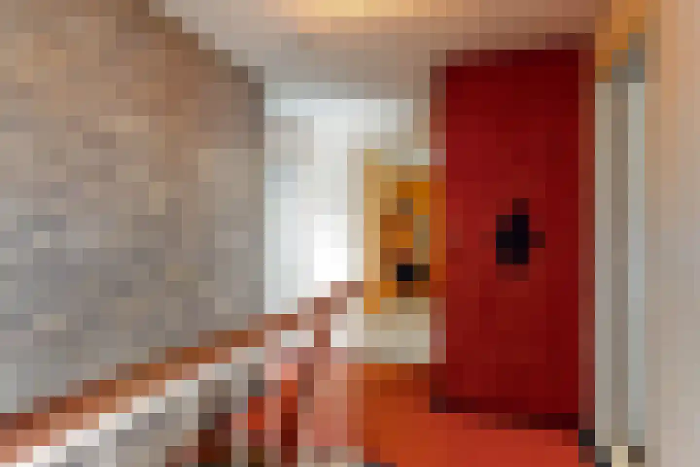 Hollestraat 8 Swalmen thumbnail 27