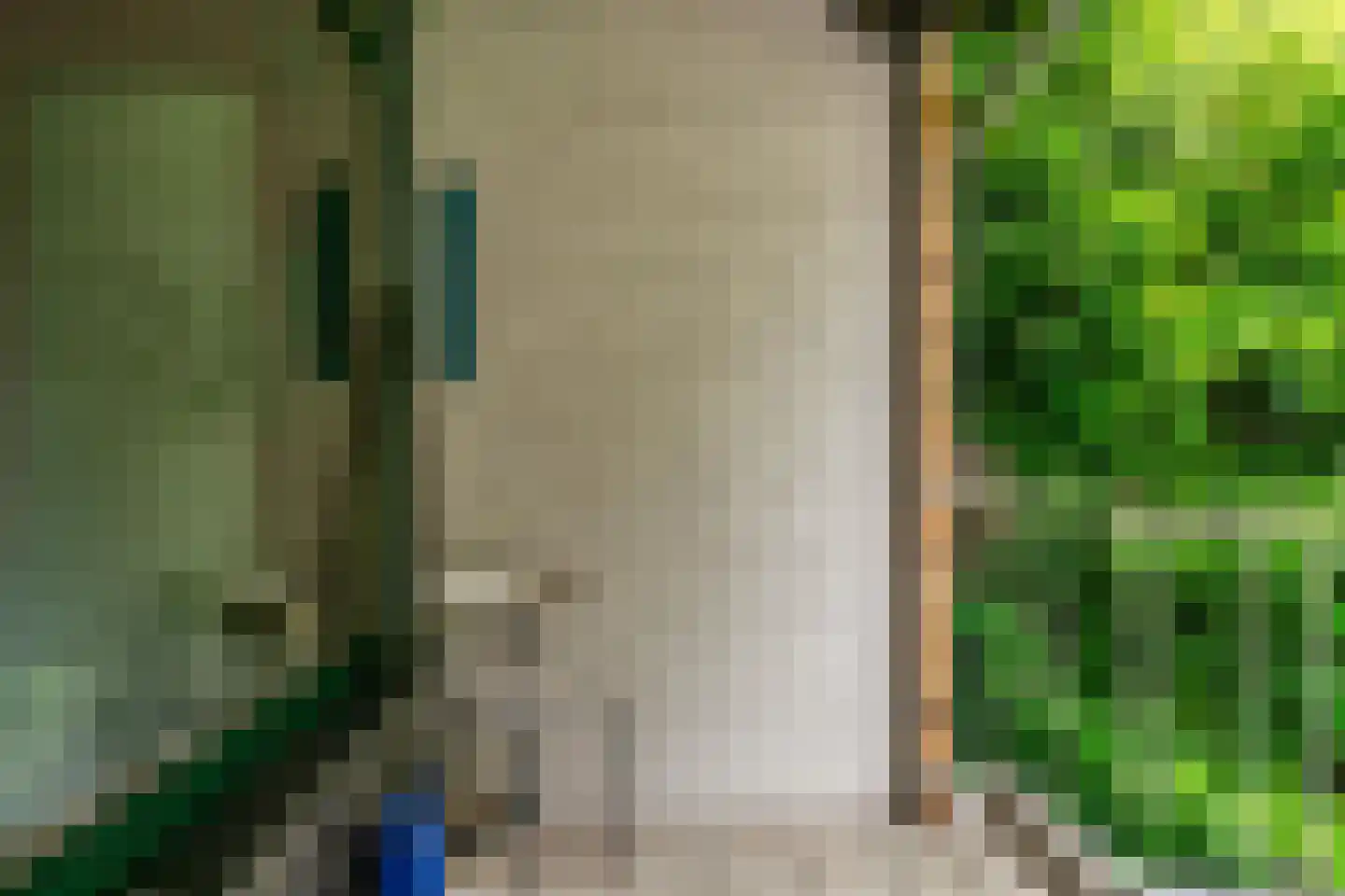 Hollestraat 8 Swalmen thumbnail 31