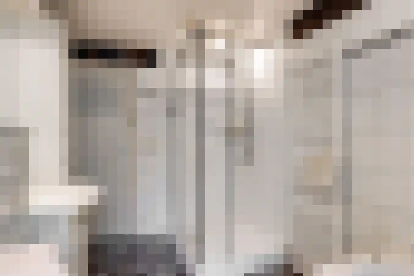 Hollestraat 8 Swalmen thumbnail 34