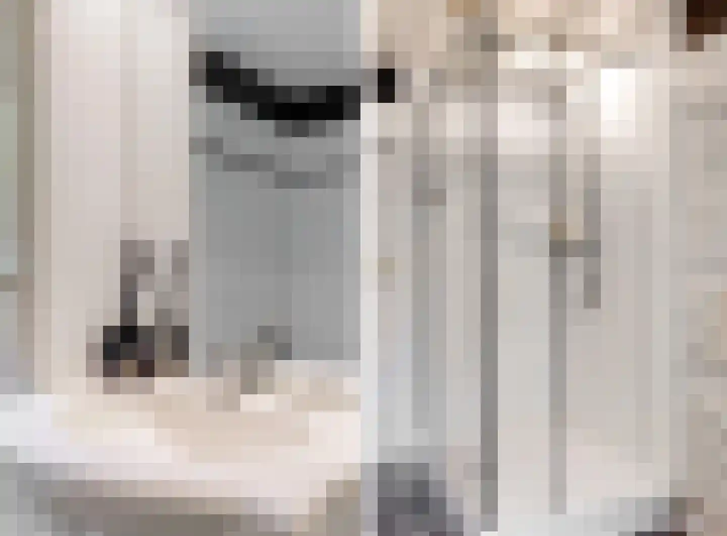 Hollestraat 8 Swalmen thumbnail 35