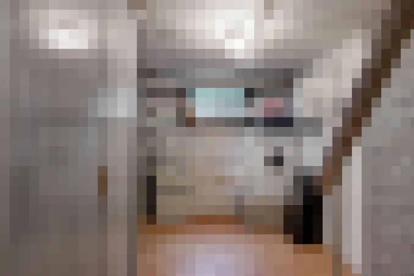 Hollestraat 8 Swalmen thumbnail 44