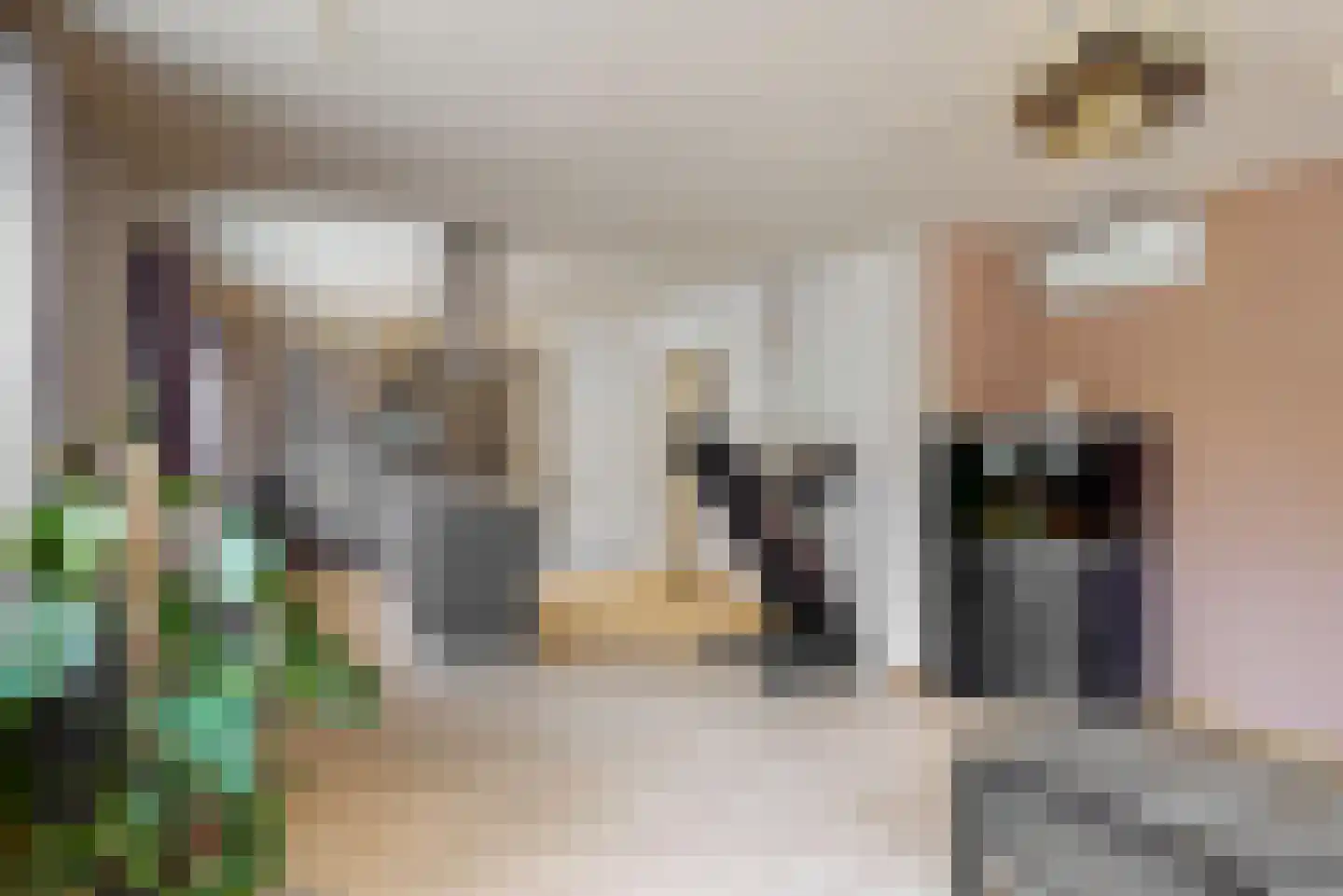 Hollestraat 8 Swalmen thumbnail 48