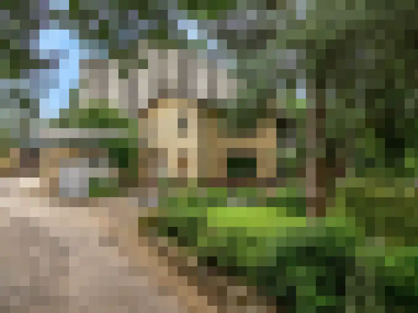 Hollestraat 8 Swalmen thumbnail 5