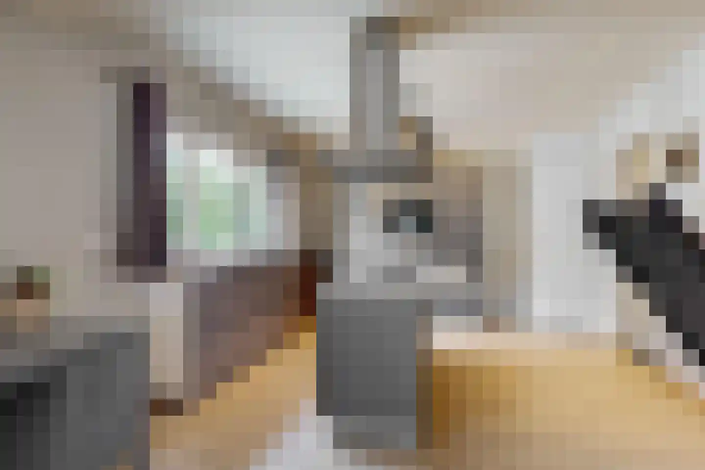 Hollestraat 8 Swalmen thumbnail 51
