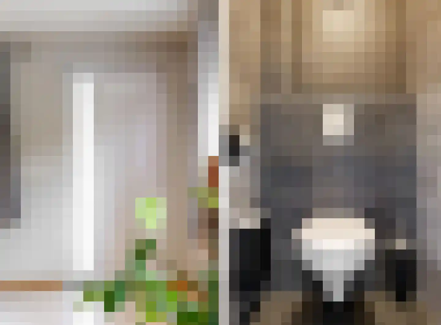 Hollestraat 8 Swalmen thumbnail 57