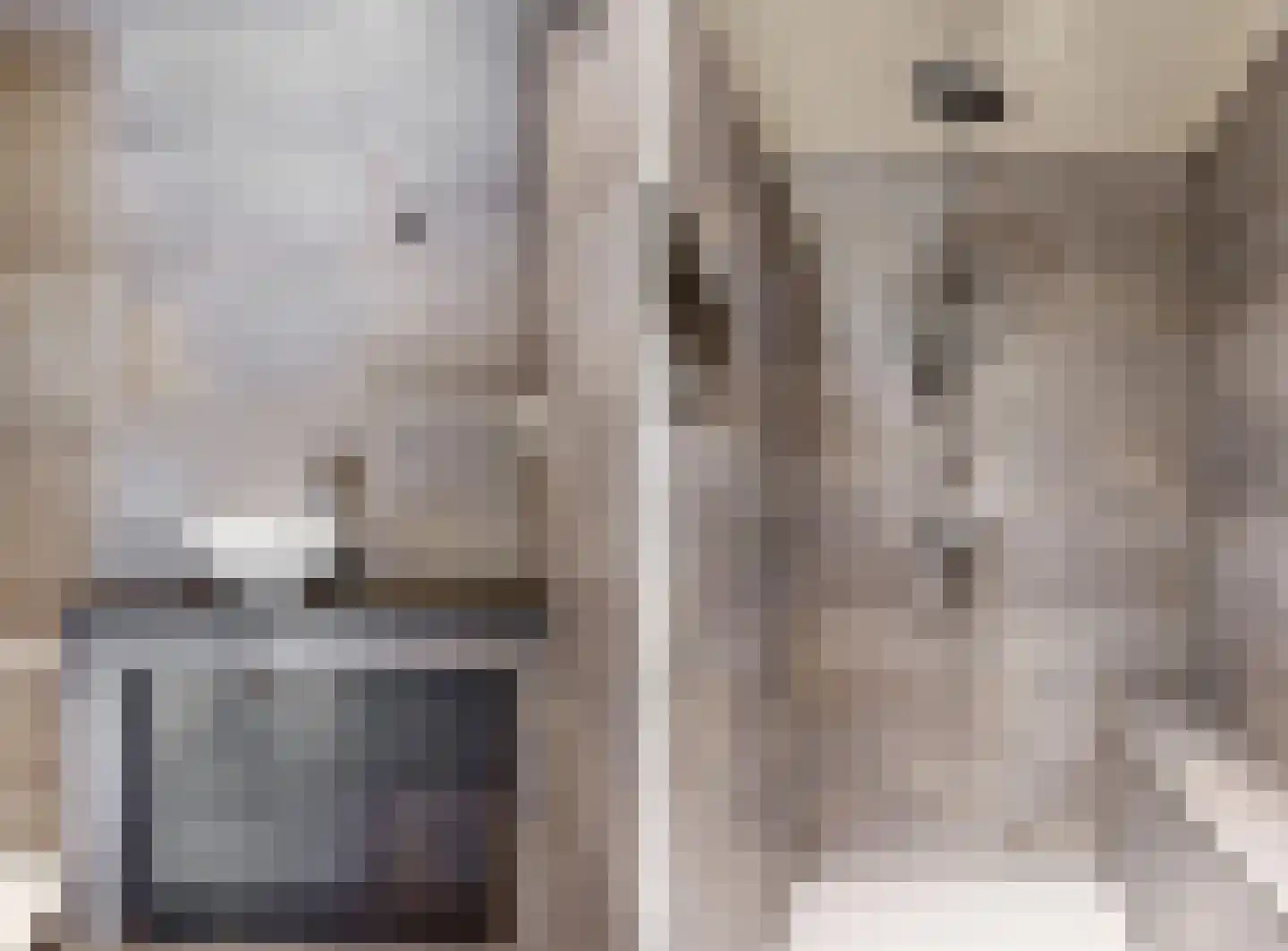 Hollestraat 8 Swalmen thumbnail 59