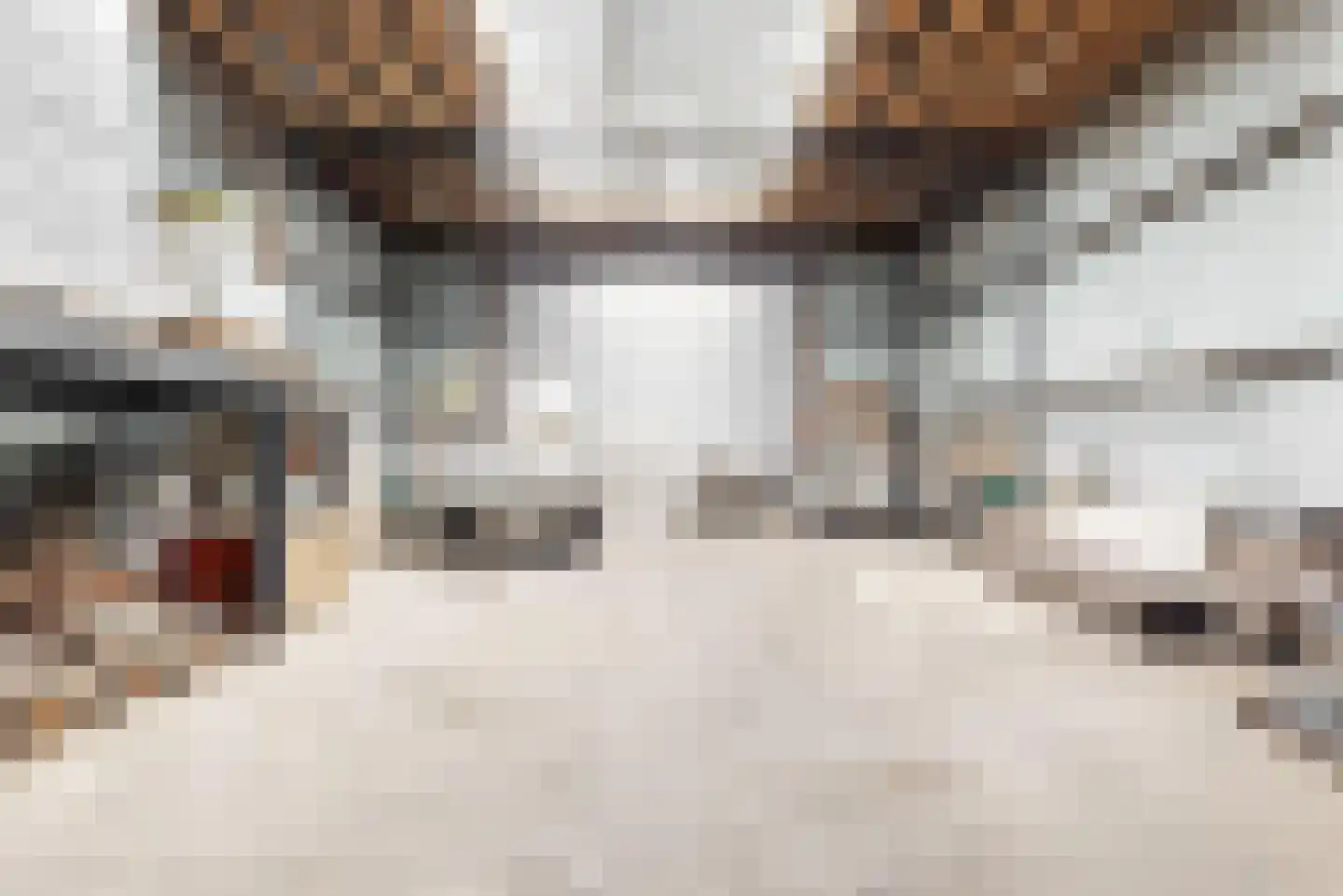 Hollestraat 8 Swalmen thumbnail 69