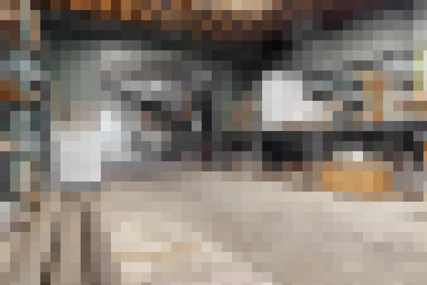 Hollestraat 8 Swalmen thumbnail 70