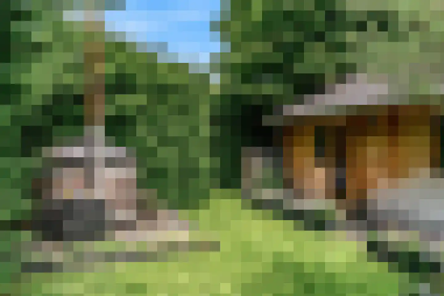 Hollestraat 8 Swalmen thumbnail 72