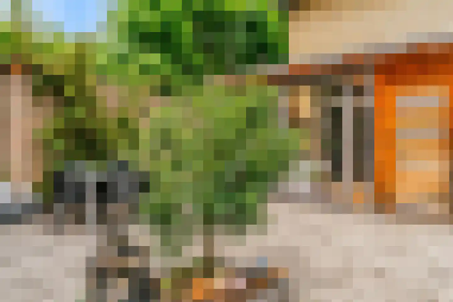 Hollestraat 8 Swalmen thumbnail 75