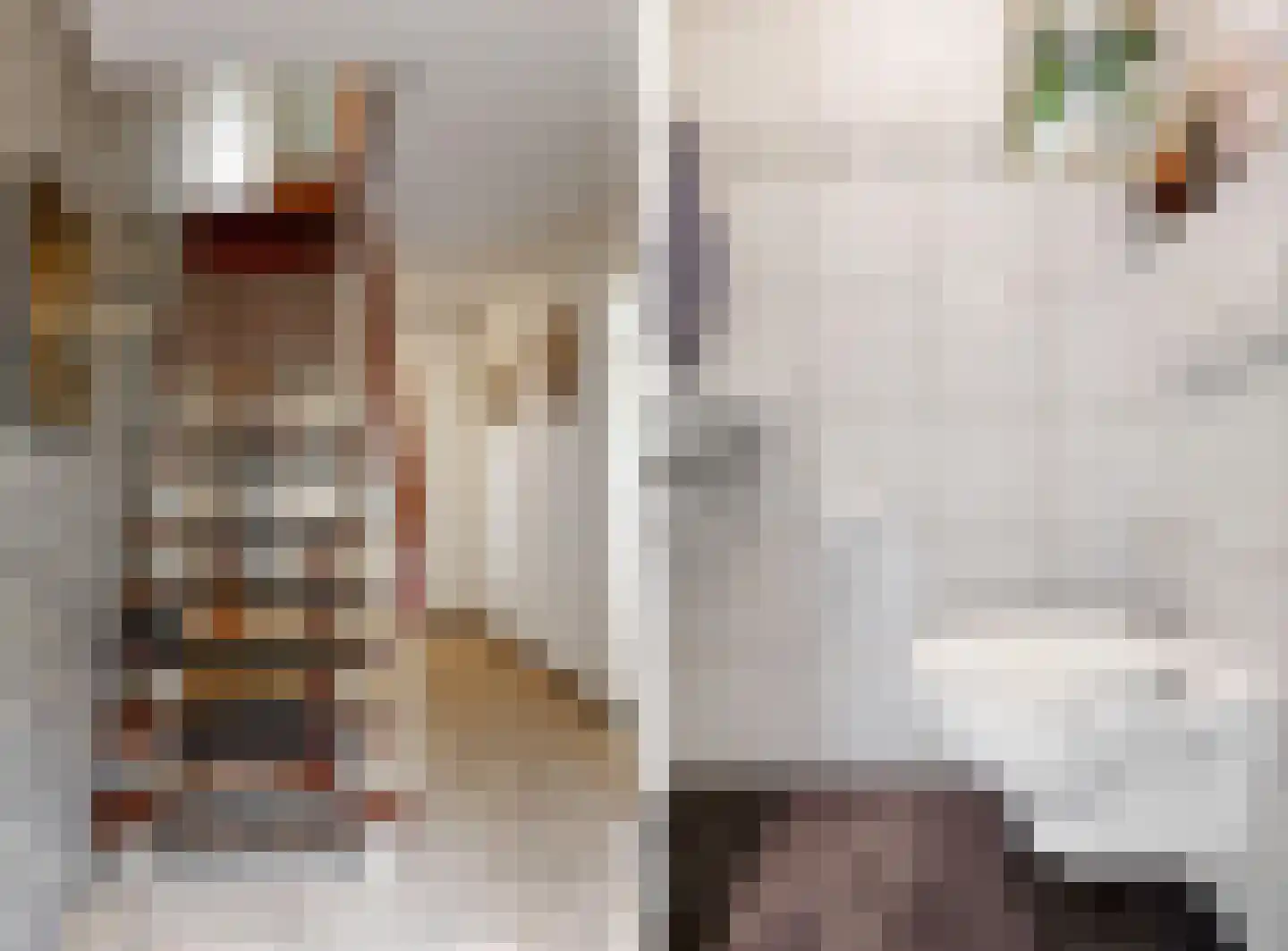 Hollestraat 8 Swalmen thumbnail 8