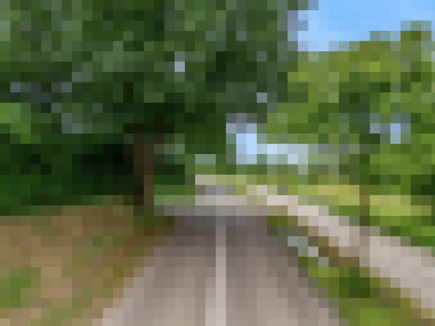 Hollestraat 8 Swalmen thumbnail 83