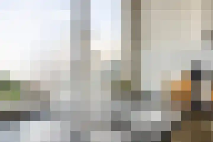 Hollevoeterlaan 30 Moerkapelle thumbnail 10