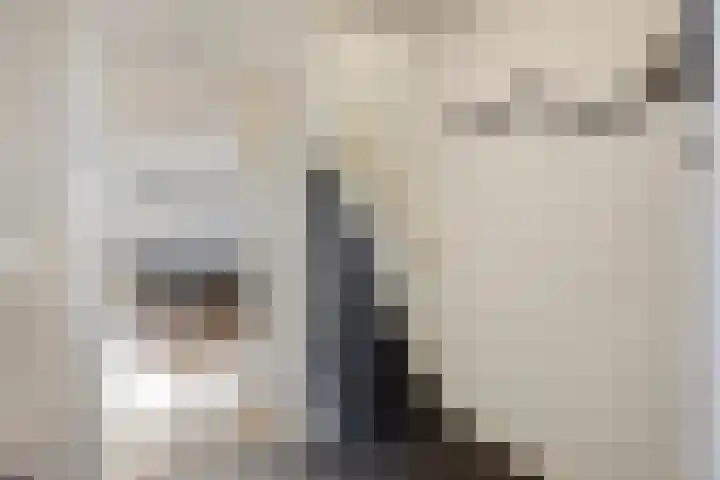 Hollevoeterlaan 30 Moerkapelle thumbnail 11