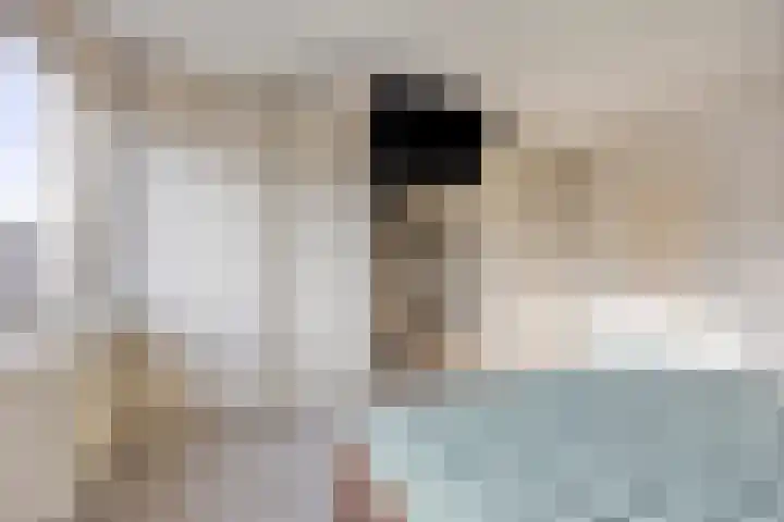 Hollevoeterlaan 30 Moerkapelle thumbnail 15