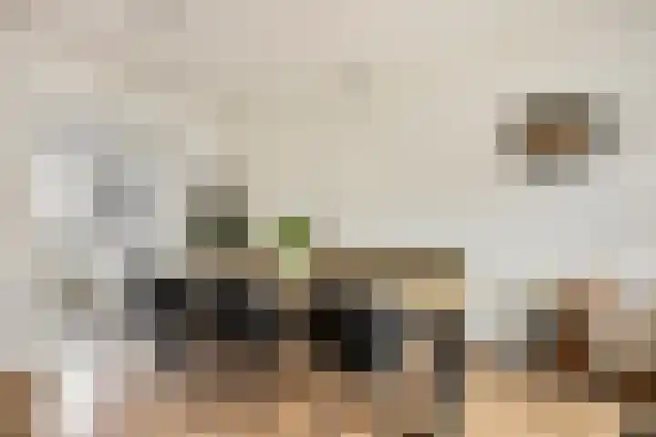 Hollevoeterlaan 30 Moerkapelle thumbnail 5