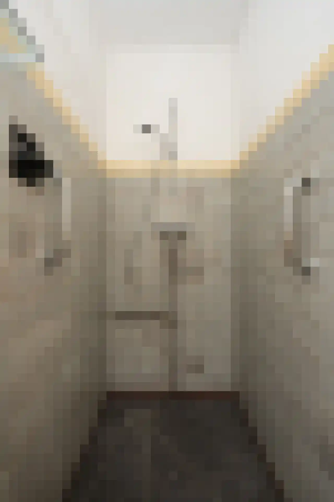 Hollewal 3 Den Burg thumbnail 21