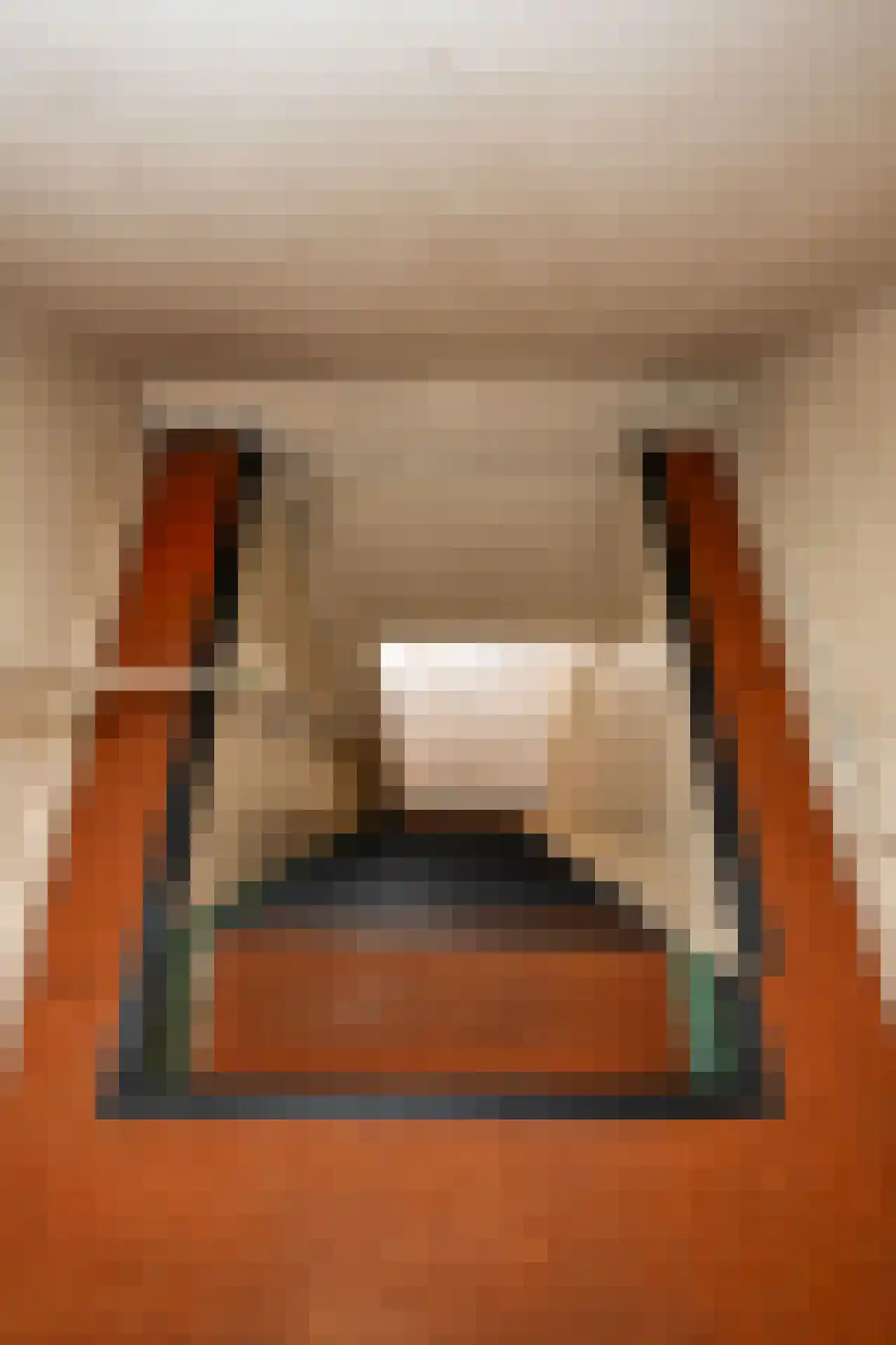 Hollewal 3 Den Burg thumbnail 24