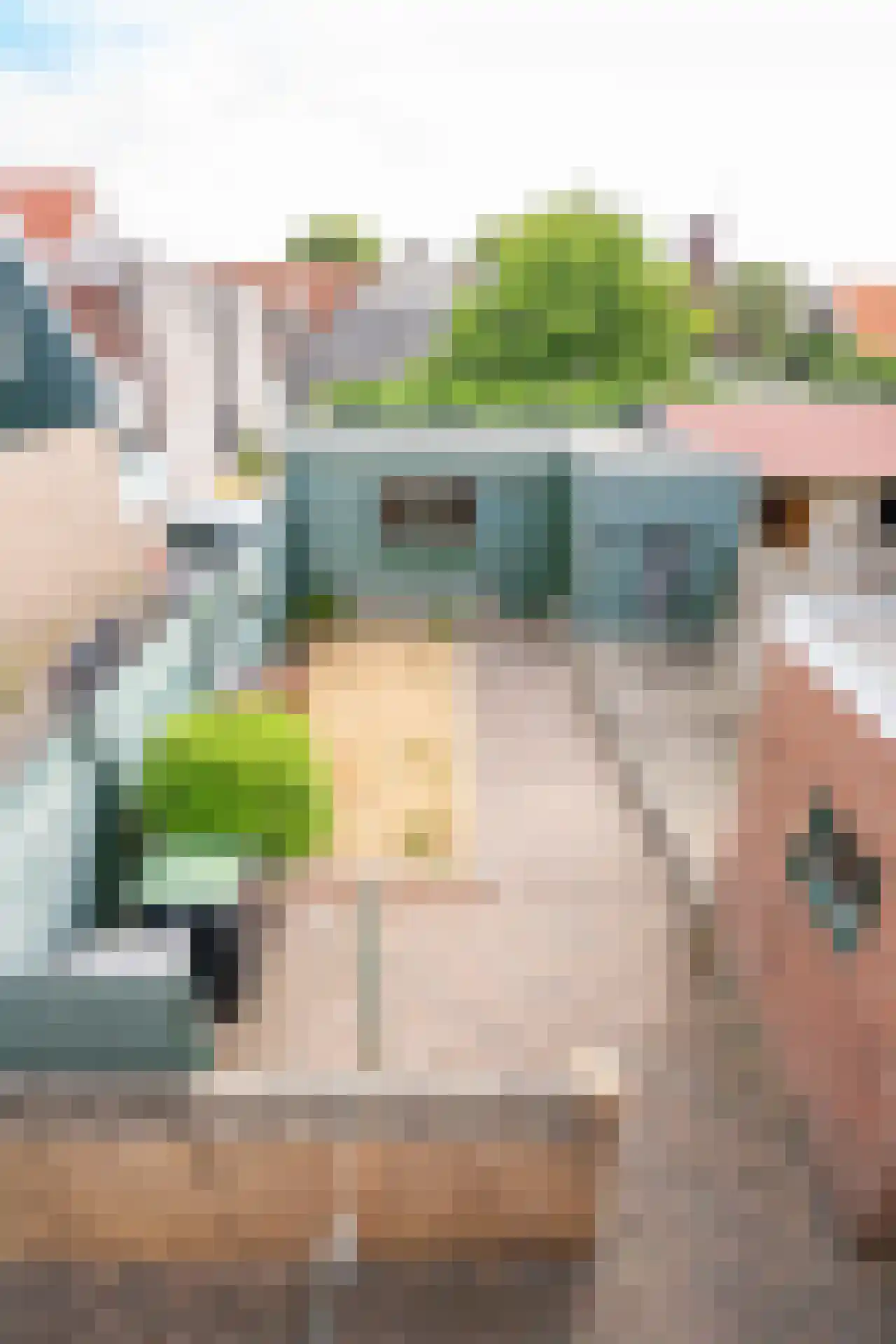Hollewal 3 Den Burg thumbnail 29
