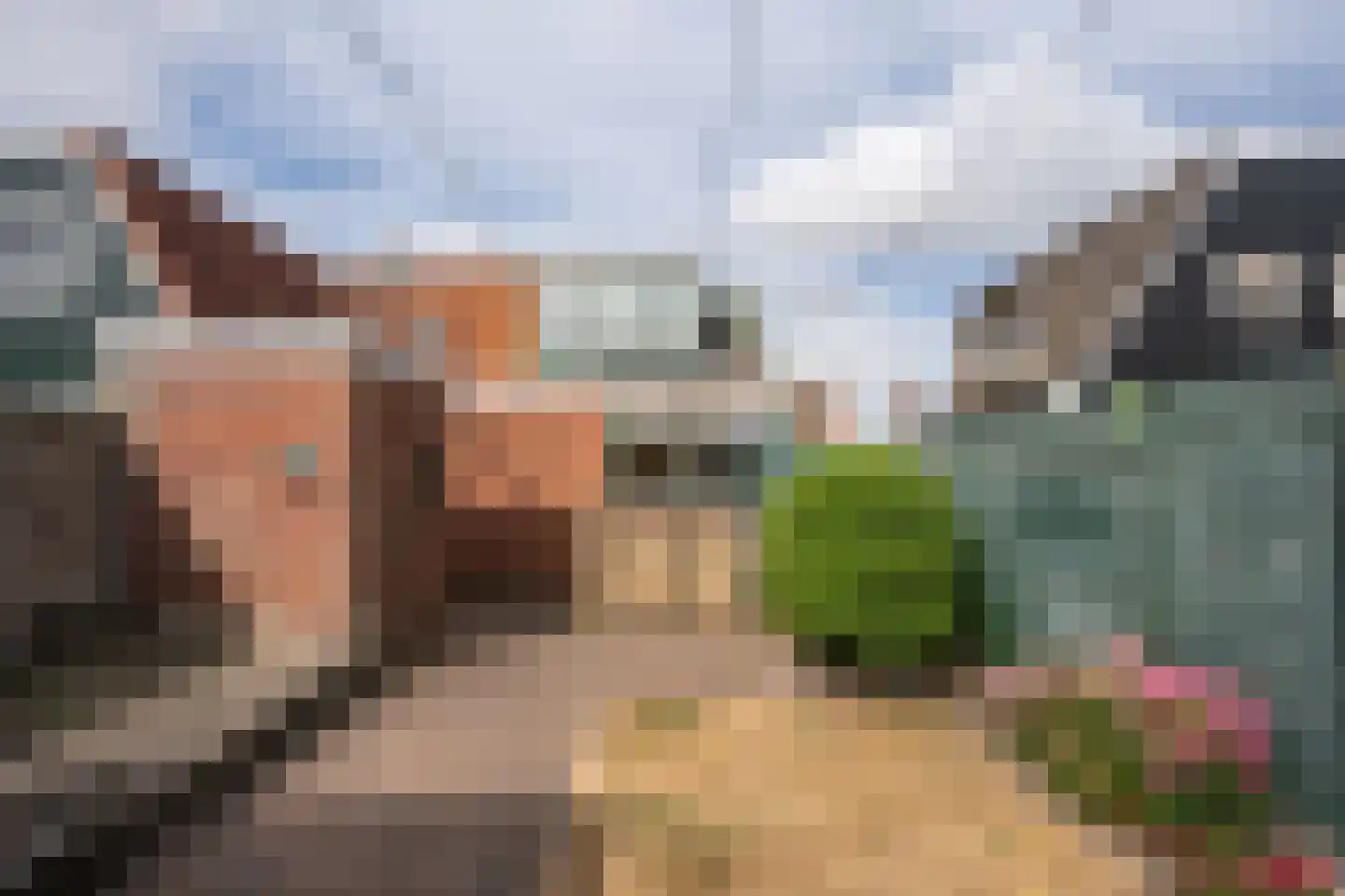 Hollewal 3 Den Burg thumbnail 36