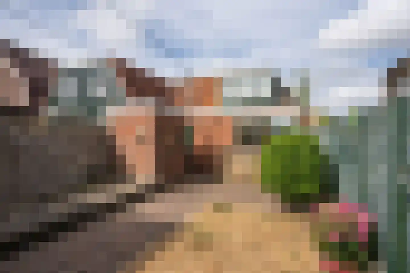 Hollewal 3 Den Burg thumbnail 38