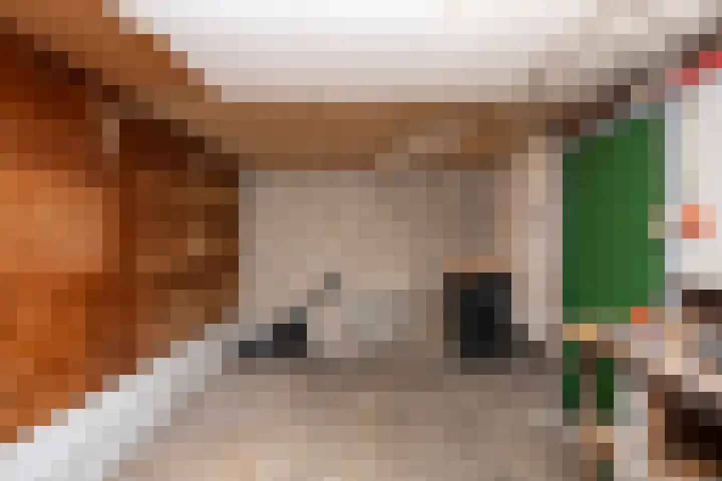 Hollewal 3 Den Burg thumbnail 46