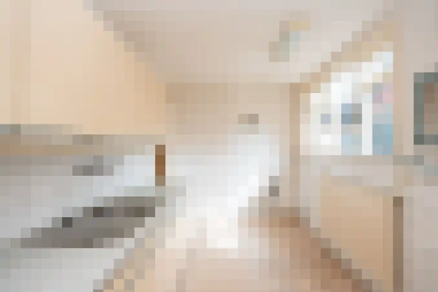 Hollewal 3 Den Burg thumbnail 5