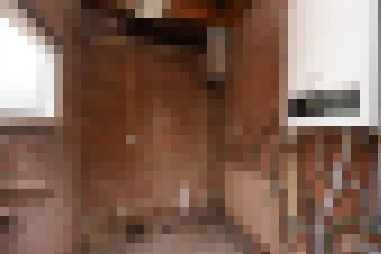 Hollewal 3 Den Burg thumbnail 50