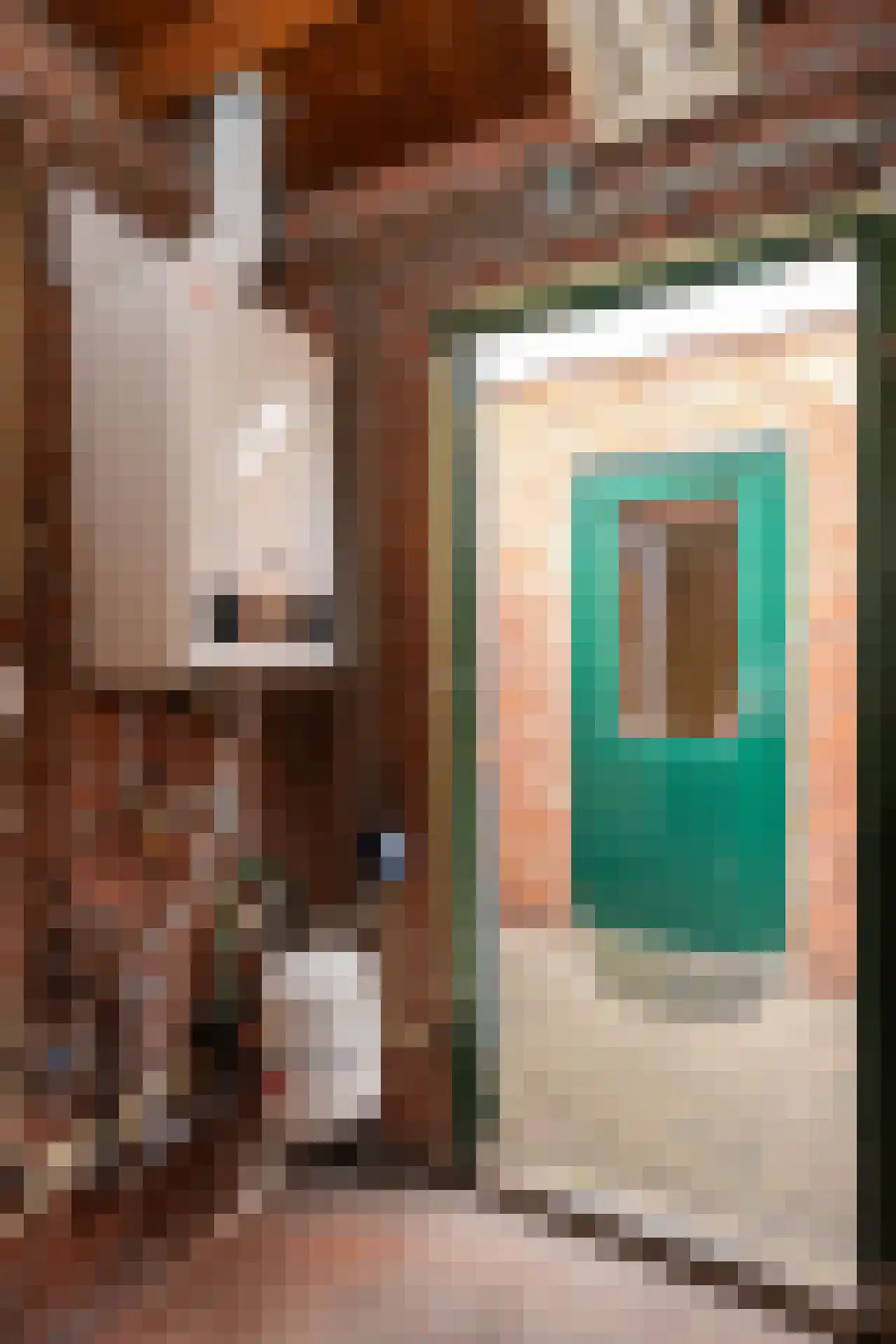 Hollewal 3 Den Burg thumbnail 51