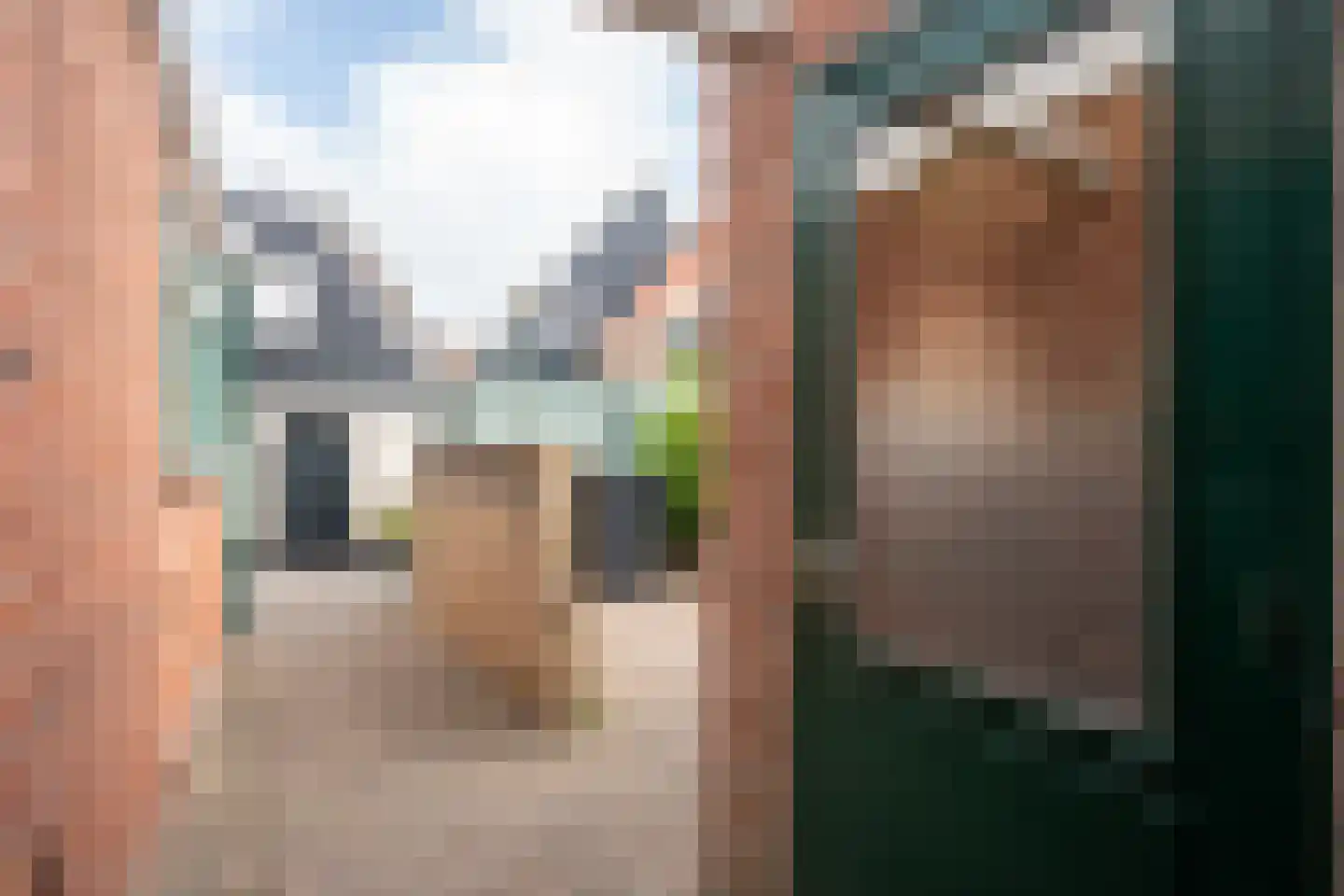 Hollewal 3 Den Burg thumbnail 52