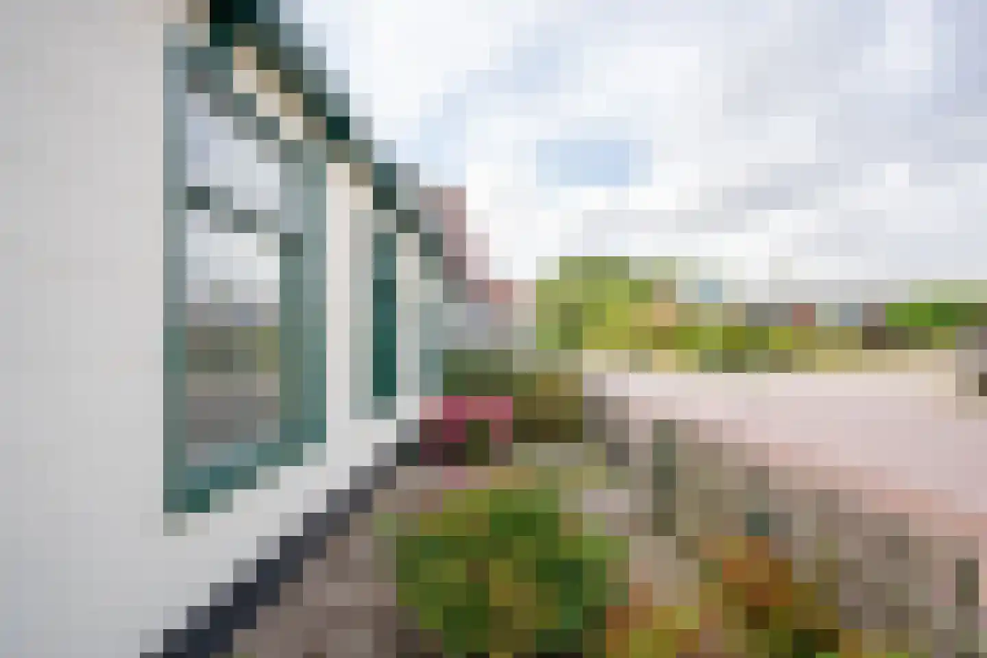 Hollewal 3 Den Burg thumbnail 57