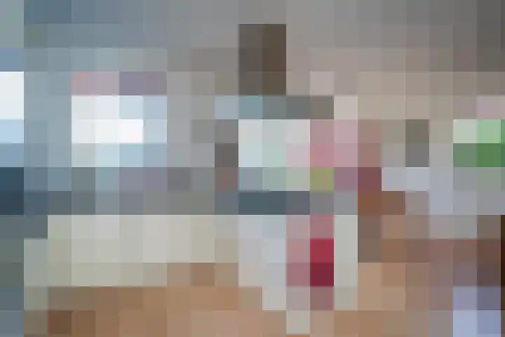 Hollewal 38 Den Burg thumbnail 10