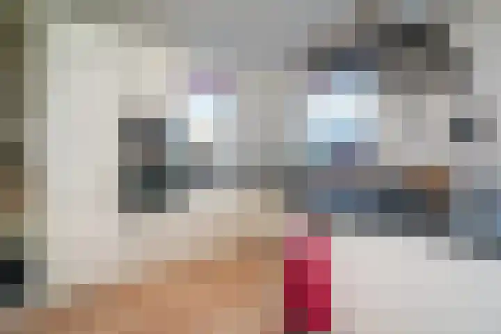 Hollewal 38 Den Burg thumbnail 11