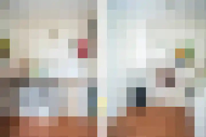 Hollewal 38 Den Burg thumbnail 13