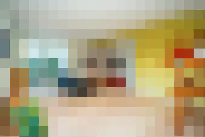 Hollewal 38 Den Burg thumbnail 16